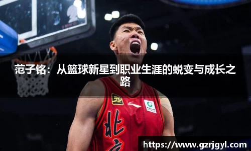 南宫娱乐ng28